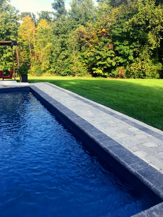 A rectangular in-ground swimming pool with dark coping and stone pavers, adjacent to a lush green lawn. A row of trees, some showing early autumn colors, lines the background.