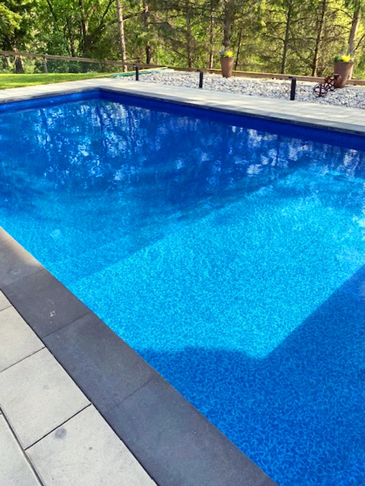 A rectangular in-ground swimming pool with bright blue water, bordered by dark coping and stone pavers. Potted plants and a wooded area are visible in the background.