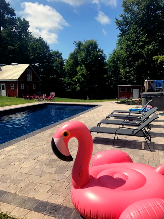 A rectangular in-ground swimming pool with stone paver decking, several lounge chairs, and a large pink flamingo float in the foreground. A red barn and lush trees can be seen in the background under a partly cloudy sky.